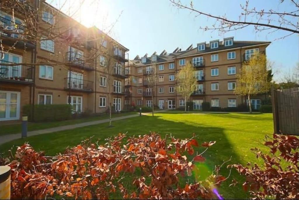Elegant, Spacious 2bed In Crystal Palace, Londra